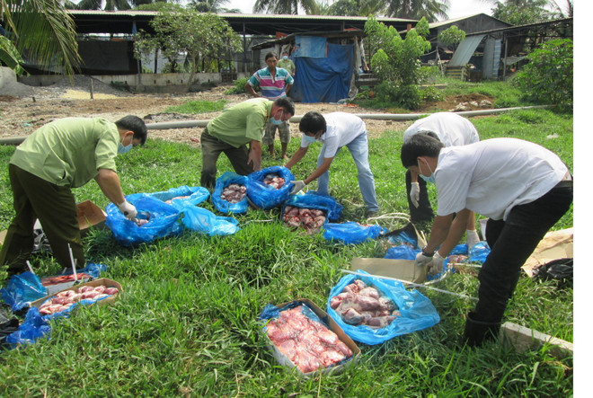 Chống thực phẩm bẩn: Cần sự vào cuộc quyết liệt của chính quyền ảnh 3