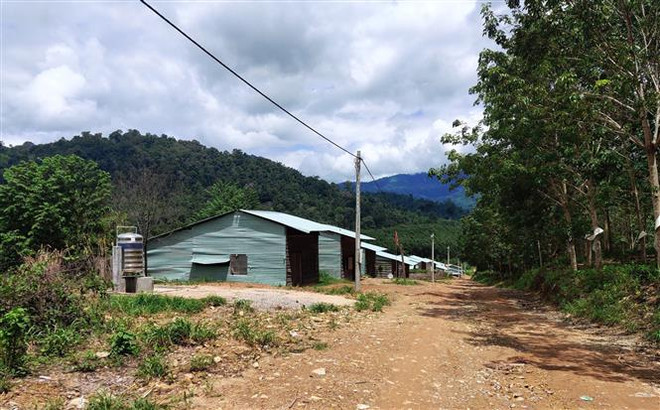 Cần tăng cường phối hợp, chủ động ứng phó với động đất ở tỉnh Kon Tum ảnh 1