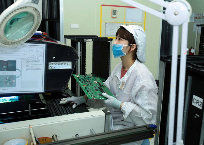 Thương mại Việt Nam-Ấn Độ lấy lại đà tăng trưởng trước đại dịch ảnh 1