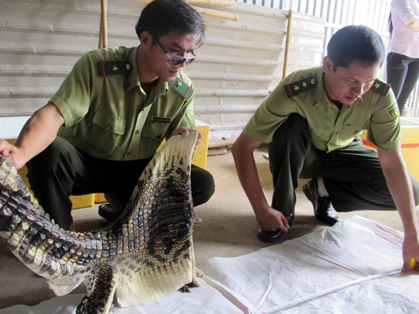 Thủ tướng yêu cầu tăng cường bảo tồn động vật hoang dã ảnh 1
