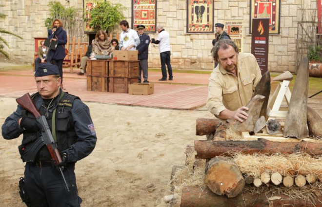 Vườn thú Dvur Kralove tại Cộng hòa Séc tiêu hủy 33 kg sừng tê giác ảnh 7