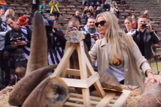 Vườn thú Dvur Kralove tại Cộng hòa Séc tiêu hủy 33 kg sừng tê giác ảnh 2