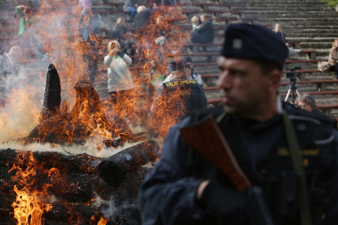 Vườn thú Dvur Kralove tại Cộng hòa Séc tiêu hủy 33 kg sừng tê giác ảnh 8