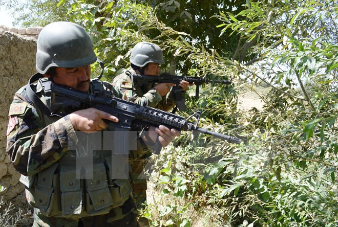 Quân đội Afghanistan tiêu diệt gần 50 phiến quân Taliban ảnh 1