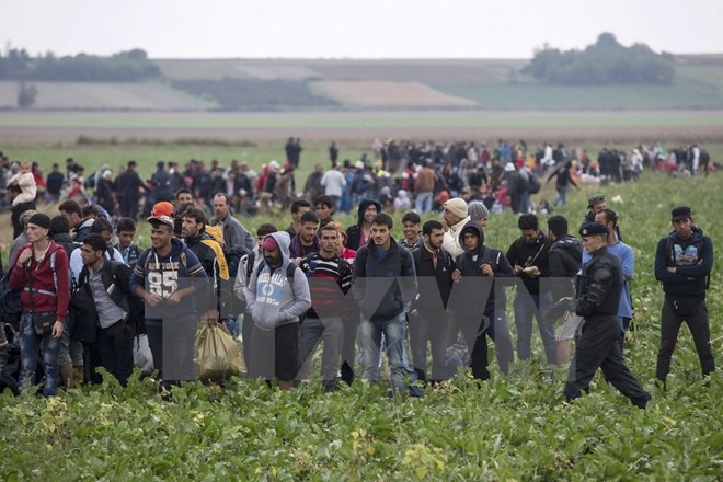 Bulgaria, Serbia, Romania dọa đóng cửa biên giới để ngăn người di cư ảnh 1