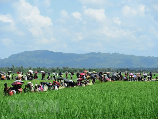 Người Rohingya chạy trốn xung đột từ Rakhine tới khu vực Palongkhali gần Ukhia, Bangladesh ngày 16/10/2017. (Nguồn: AFP/TTXVN) Bangladesh tìm kiếm sự hỗ trợ của nhiều nước về vấn đề người Rohingya ảnh 1