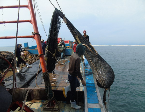 Tàu giã cào hoạt động sai tuyến vẫn diễn ra ở Bình Thuận ảnh 1