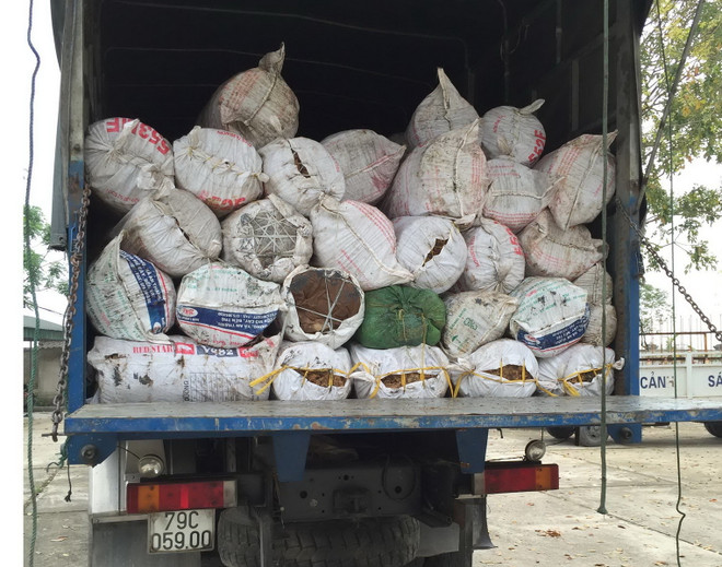 6 tấn tóp mỡ động vật mốc meo suýt được tiêu thụ tại Nam Định ảnh 1