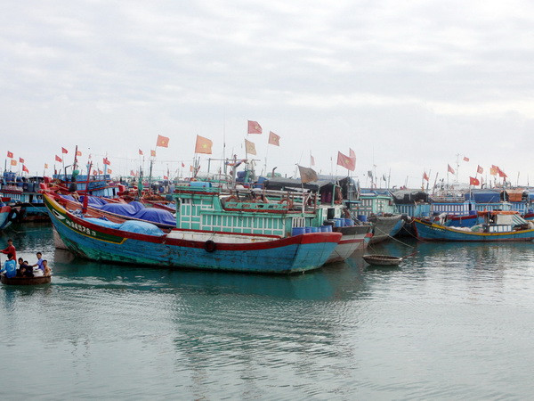 Quảng Nam thành lập thêm nghiệp đoàn nghề cá xã Tam Giang ảnh 1