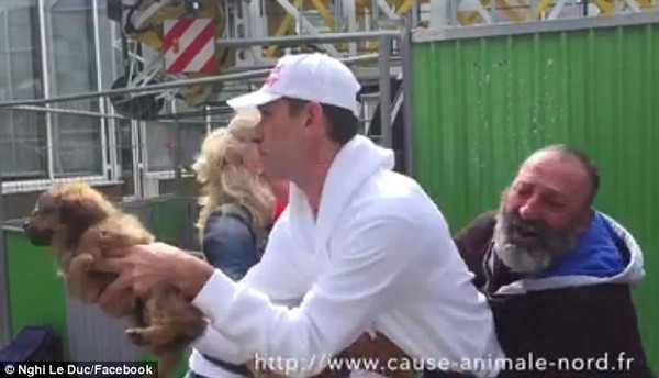 Cảnh người đàn ông vô gia cư giành lại chó gây xúc động mạnh ảnh 1