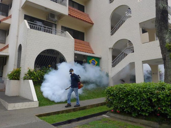 Singapore: Số người mắc sốt xuất huyết trong 1 tuần cao kỷ lục ảnh 1