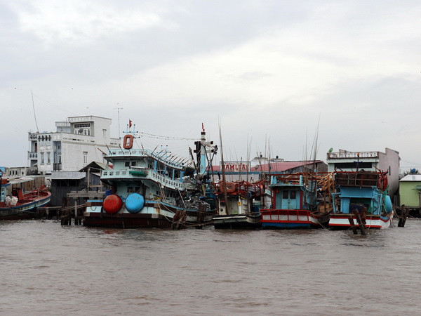 Cà Mau làm rõ trách nhiệm việc để tàu cá vi phạm vùng biển nước ngoài ảnh 1