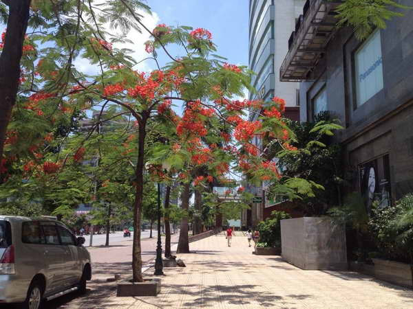 Nắng nóng sẽ kéo dài đến hết tuần, nền nhiệt trên 39 độ C ảnh 1