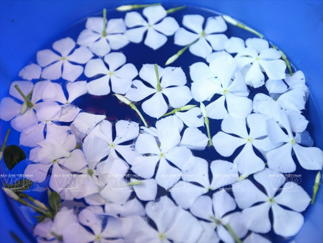 Lễ Tắm Phật của người Khmer trong dịp Tết Chol Chnam Thmay ảnh 3