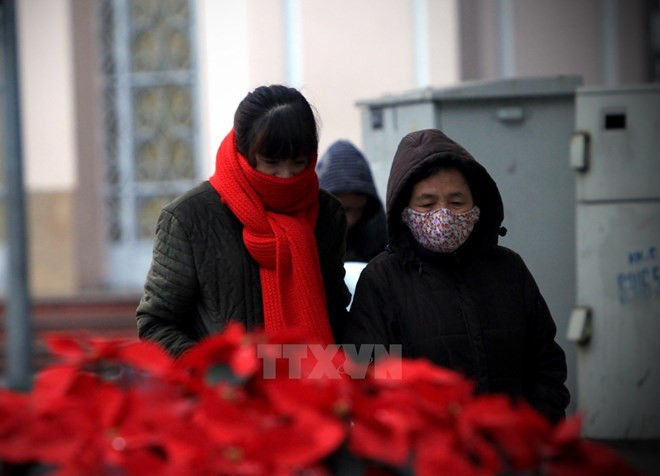 Sự kiện trong nước 26/12-1/1: Tăng trưởng GDP 2016 thấp hơn mục tiêu ảnh 10