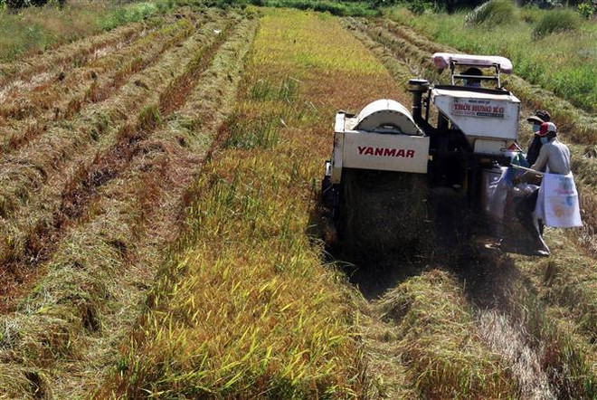 Những dự án, công trình thích ứng với biến đổi khí hậu tại Kiên Giang ảnh 1