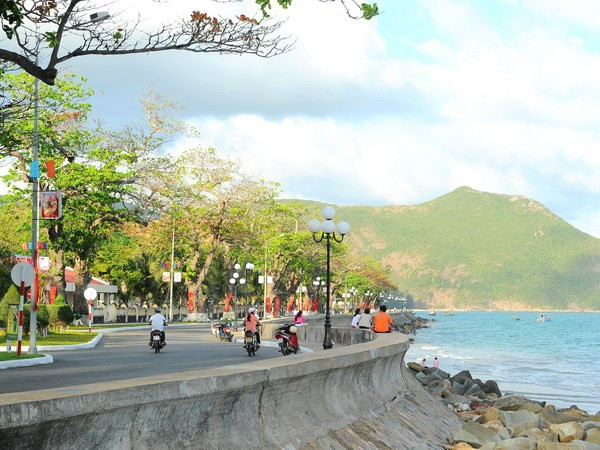 Bảo tồn tài nguyên đa dạng sinh học - Động lực phát triển Côn Đảo ảnh 1