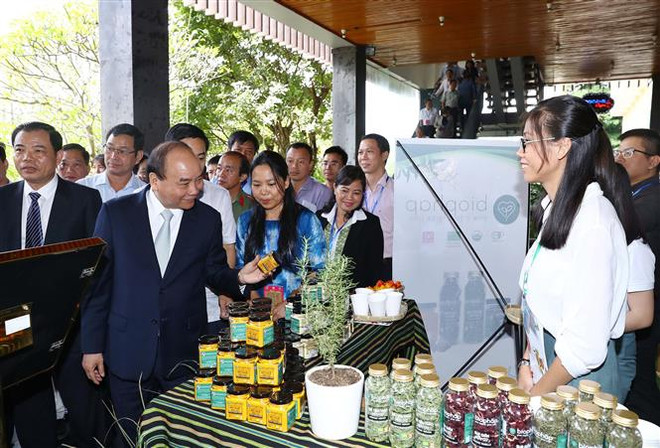 Bảo hộ giá trị sâm Ngọc Linh như thương hiệu quốc gia Việt Nam ảnh 2