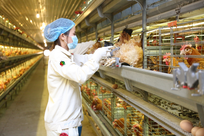 Công ty cổ phần Tập đoàn DABACO báo lãi kỷ lục 1.400 tỷ đồng ảnh 1