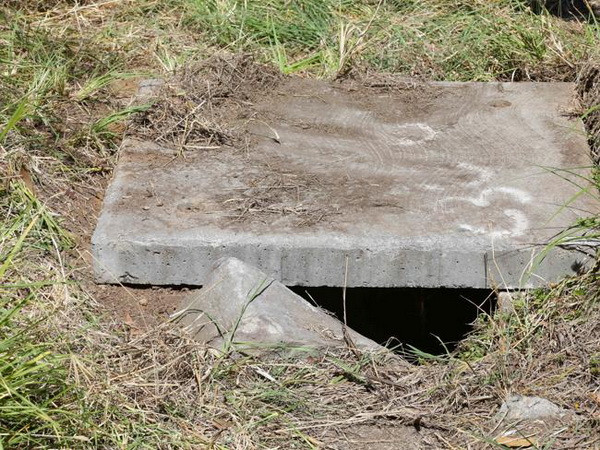 Em bé sống sót thần kỳ sau 5 ngày bị bỏ mặc trong rãnh thoát nước ảnh 2