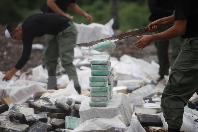 Tây Ban Nha tịch thu 3 tấn cocaine, bắt giữ 12 đối tượng ảnh 1