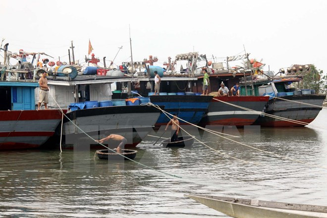 Nỗ lực tìm kiếm thuyền viên mất tích trong vụ va chạm giữa 2 tàu ảnh 1