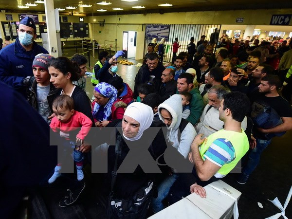 Hungary xây hàng rào chặn người di cư ở biên giới với Romania ảnh 1