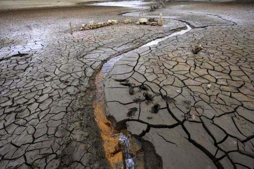 El Nino đang phát triển mạnh hơn cả "thời điểm tồi tệ nhất" ảnh 1