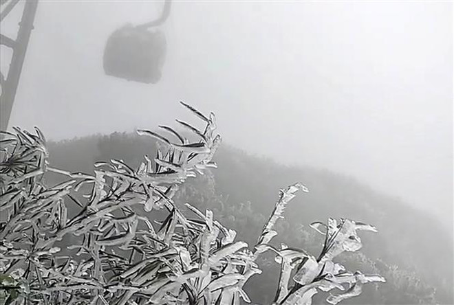 Từ 17/12, Bắc Bộ và Bắc Trung Bộ rét đậm, rét hại, nhiệt độ 8-11 độ C ảnh 1