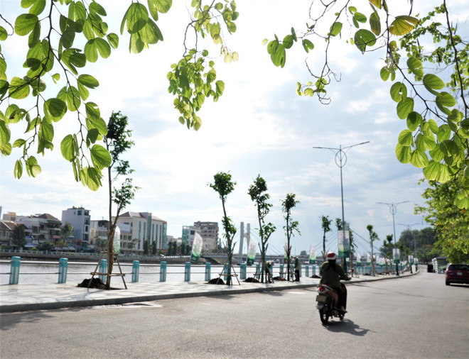 Hoa hậu Trái đất chung tay cùng NovaGroup trồng cây xanh ở Phan Thiết ảnh 7