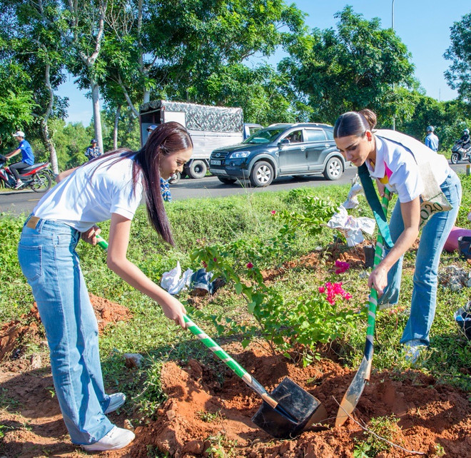 Hoa hậu Trái đất 2020 – Lindsey Coffey và người đẹp Thảo Liên - Top 5 Hoa hậu các Dân tộc Việt Nam hy vọng có thêm nhiều cơ hội đồng hành cùng nhiều chương trình ý nghĩa như thế này nữa. Hoa hậu Trái đất chung tay cùng NovaGroup trồng cây xanh ở Phan Thiết ảnh 3