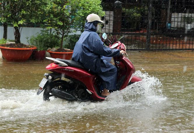 (Ảnh minh họa: Huỳnh Anh/TTXVN) Tây Nguyên, Nam Bộ và Nam Trung Bộ có mưa rào và dông ảnh 1
