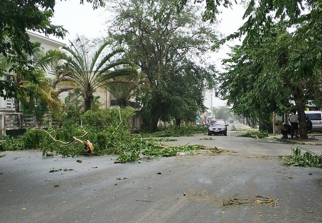 Lở bùn tại Mỹ và bão tại Madagascar gây thiệt hại nặng nề ảnh 1