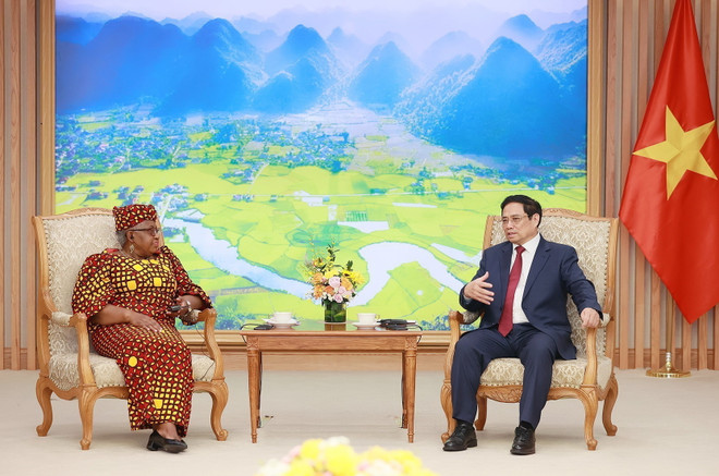 Thủ tướng: Việt Nam luôn chủ động, tích cực đẩy mạnh hội nhập quốc tế ảnh 2