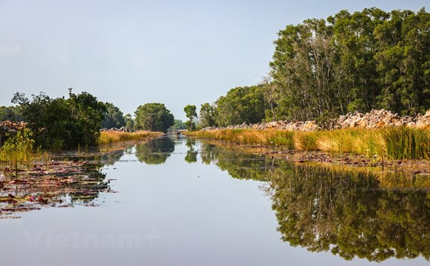 Bảo tồn và sử dụng bền vững vùng đất ngập nước ở Việt Nam ảnh 1