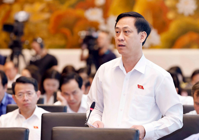 ttxvn Dai bieu Mai Van Hai_resize.jpg