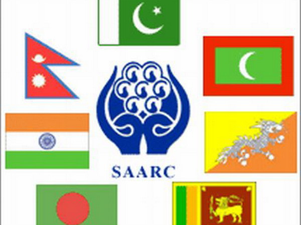 SAARC kêu gọi thiết lập mạng lưới điện trong toàn khu vực ảnh 1