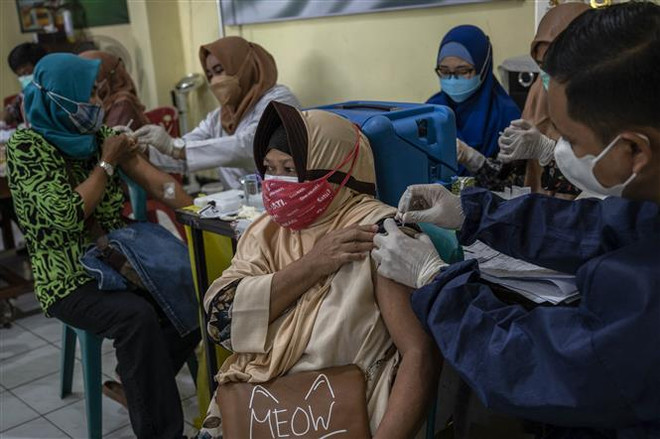 Hơn 1 triệu liều vaccine được viện trợ tại Indonesia hết hạn sử dụng ảnh 1