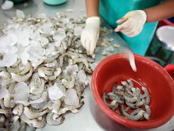 Xuất khẩu tôm của Thái Lan sẽ vẫn gặp khó khăn trong năm tới ảnh 1