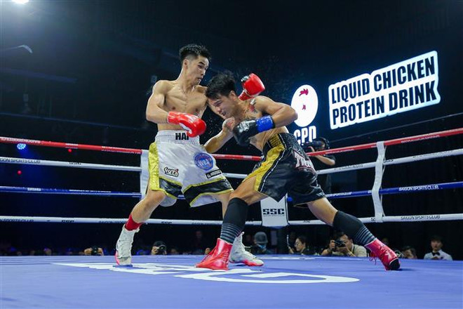 Võ sỹ Nguyễn Ngọc Hải giành đai vô địch WBA Nam Á super-lightweight ảnh 2
