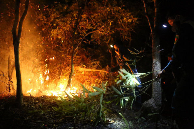 Điện Biên: Cháy rừng sản xuất, hàng chục người nỗ lực dập lửa ảnh 1