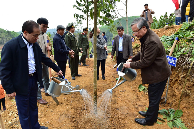 Thường trực Ban Bí thư dự Lễ phát động Tết trồng cây tại Tuyên Quang ảnh 1