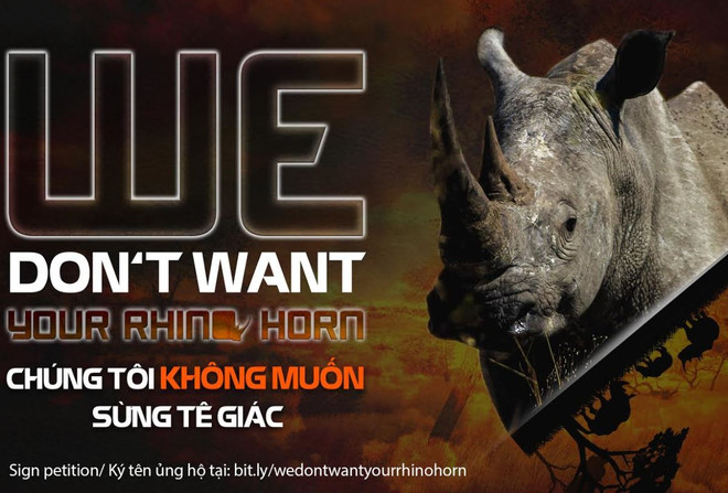 Sao Việt gửi thông điệp nói "không" với sừng tê giác Nam Phi ảnh 1