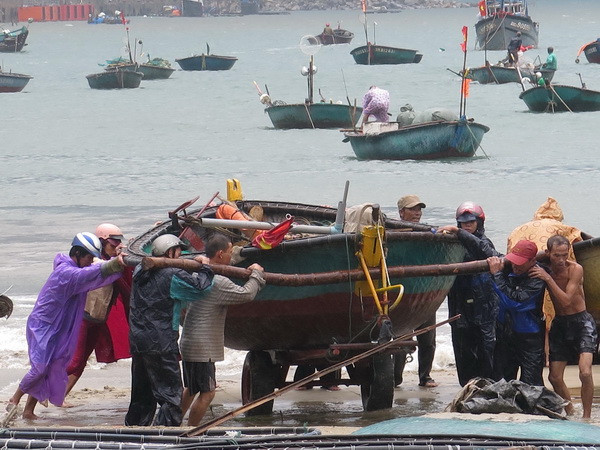 Chủ động mọi phương án để kịp thời ứng phó với bão số 4 Mujigae ảnh 1