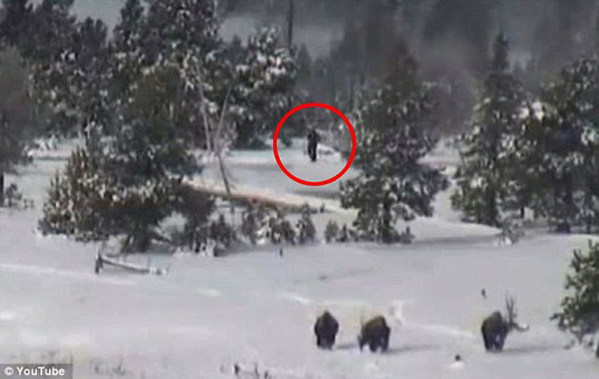 Phát hiện Người Tuyết Chân to bí ẩn tại Công viên Quốc gia Mỹ? ảnh 1