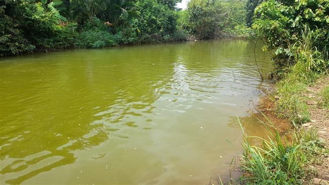 Nhiều hồ đập trên địa bàn Bình Phước không đảm bảo an toàn ảnh 1