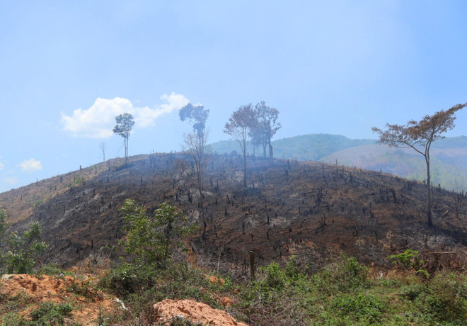 Đắk Nông: Vi phạm quản lý đất đai, ba cán bộ bị khởi tố, điều tra ảnh 1