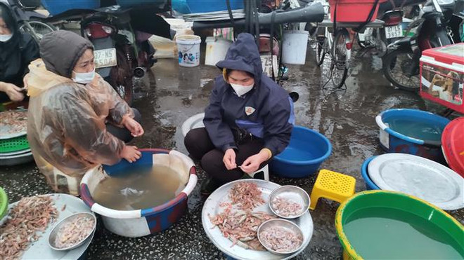 Chuyên gia kêu gọi Indonesia áp dụng mô hình thủy sản của Việt Nam ảnh 1