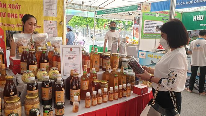 Hà Nội khai mạc Tuần lễ giới thiệu, quảng bá sản phẩm OCOP ảnh 1