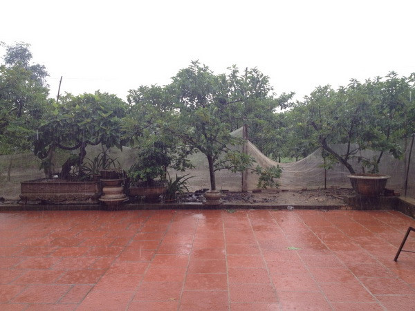 Nghệ An đã xuất hiện mưa sau nhiều tháng nắng nóng khô hạn ảnh 1